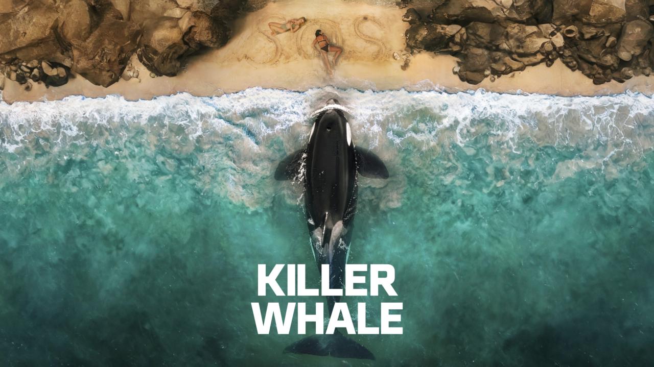 فيلم Killer Whale 2026 مترجم  بجودة عالية اونلاين